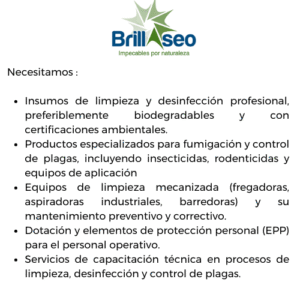 BRILLASEO